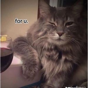 Meet your Posher, Kenay